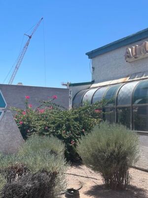 This No-Frills Arizona Buffet Has Kept Families Coming Back Since 1991 with Plates You Can Barely Finish