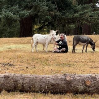 This Oregon Farm Lets You Book a Tour And Pet Fuzzy Highland Cattle Alongside Mini Donkeys