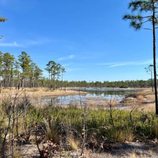 6 Free Coastal Campsites in North Carolina That Feel Like You Found a Loophole