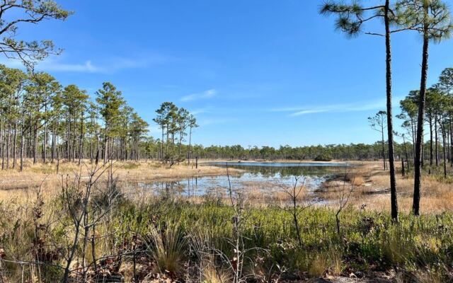 6 Free Coastal Campsites in North Carolina That Feel Like You Found a Loophole