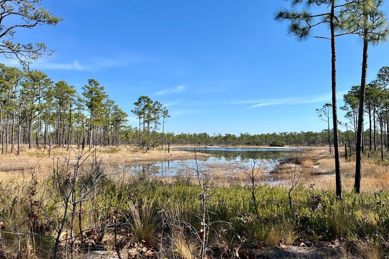 6 Free Coastal Campsites in North Carolina That Feel Like You Found a Loophole