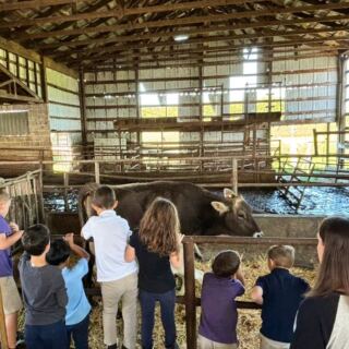 This Family-Run Oregon Dairy Just Outside Portland Sells Fresh Milk in Glass Bottles and Lets You Meet the Cows