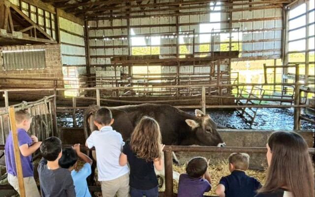 This Family-Run Oregon Dairy Just Outside Portland Sells Fresh Milk in Glass Bottles and Lets You Meet the Cows