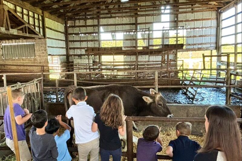 This Family-Run Oregon Dairy Just Outside Portland Sells Fresh Milk in Glass Bottles and Lets You Meet the Cows
