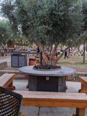 Queen Creek Olive Mill Presses Its Own Arizona Olive Oil and Lets You Taste It Fresh at the Source