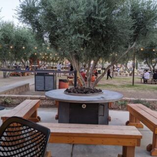 Queen Creek Olive Mill Presses Its Own Arizona Olive Oil and Lets You Taste It Fresh at the Source