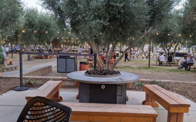 Queen Creek Olive Mill Presses Its Own Arizona Olive Oil and Lets You Taste It Fresh at the Source