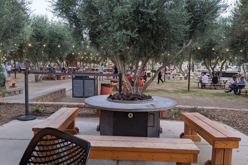 Queen Creek Olive Mill Presses Its Own Arizona Olive Oil and Lets You Taste It Fresh at the Source