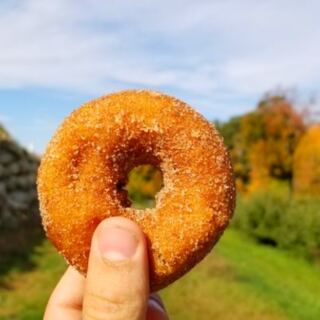 11 New Hampshire Cider Donut Stops Worth Planning a Fall Drive Around