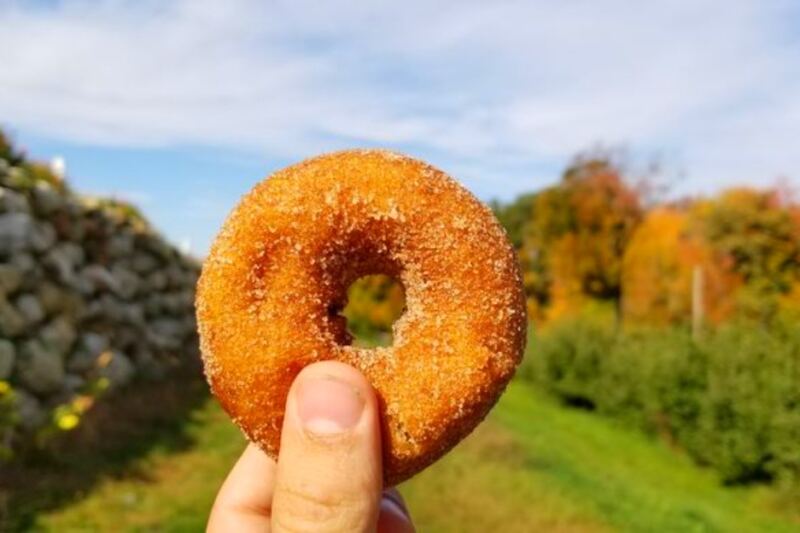 11 New Hampshire Cider Donut Stops Worth Planning a Fall Drive Around