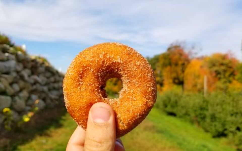 11 New Hampshire Cider Donut Stops Worth Planning a Fall Drive Around