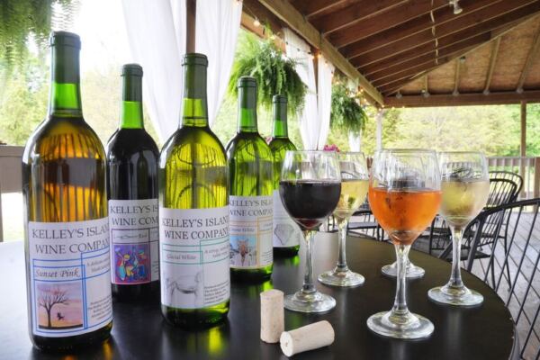 You’ll Lose A Whole Afternoon Sipping At This Lake Erie Island Winery Nobody Mentions