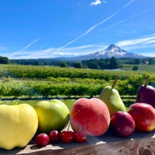 This Oregon Orchard Bakes Fresh Cider Donuts While You Pick From 150 Apple Varieties Beneath Mount Hood