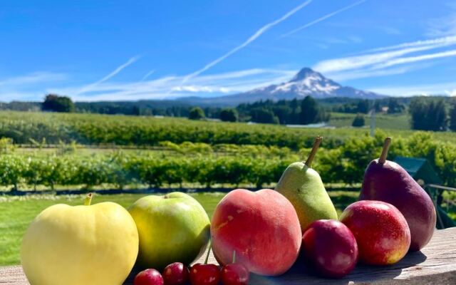 This Oregon Orchard Bakes Fresh Cider Donuts While You Pick From 150 Apple Varieties Beneath Mount Hood