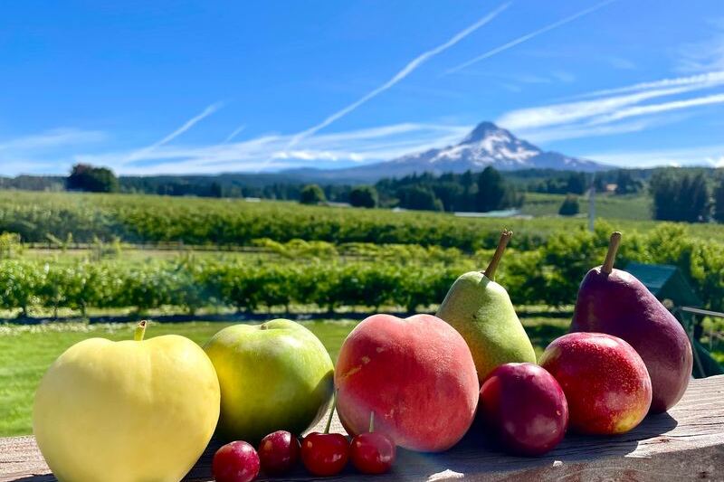 This Oregon Orchard Bakes Fresh Cider Donuts While You Pick From 150 Apple Varieties Beneath Mount Hood
