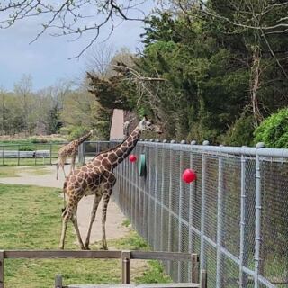 This Free New Jersey Zoo Turns Hundreds Of Animals Into An Easy Family Day Trip