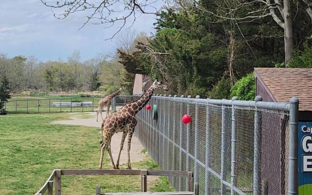 This Free New Jersey Zoo Turns Hundreds Of Animals Into An Easy Family Day Trip