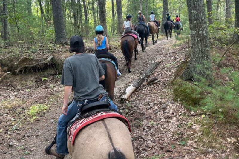 This Westford Ranch Near Boston Eases First-Time Riders Onto Gentle Horses For A Guided Trail Ride Close To Home