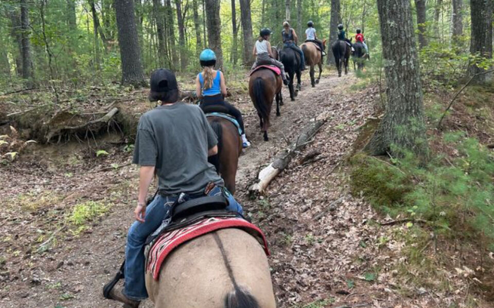 This Westford Ranch Near Boston Eases First-Time Riders Onto Gentle Horses For A Guided Trail Ride Close To Home