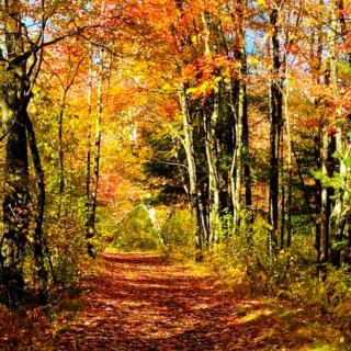 This 157-Acre New Hampshire Park Feels Miles Away From Downtown