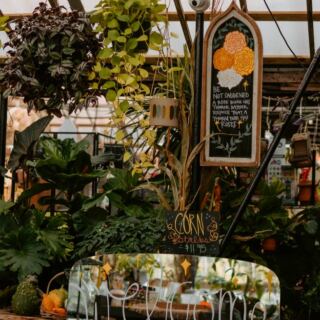 This Michigan Garden Center Feels More Like a Secret Botanical Escape