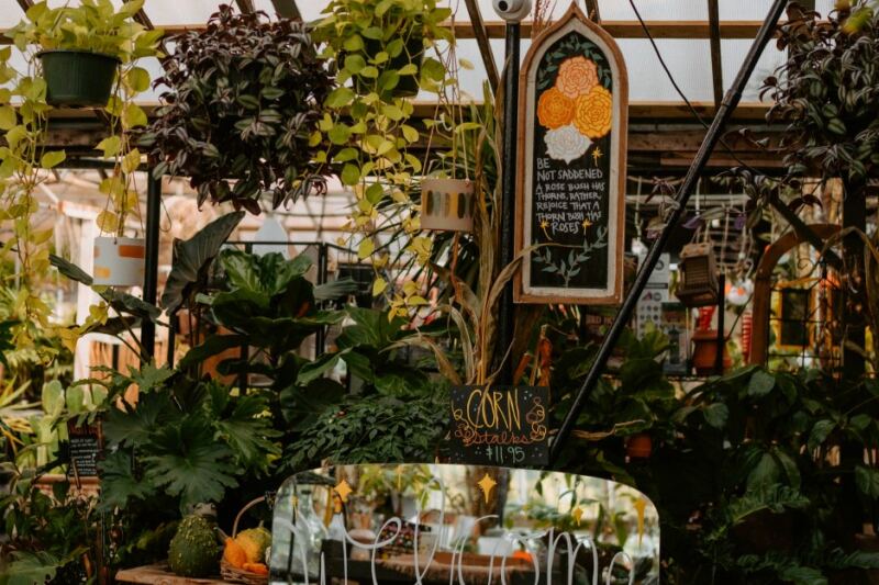 This Michigan Garden Center Feels More Like a Secret Botanical Escape