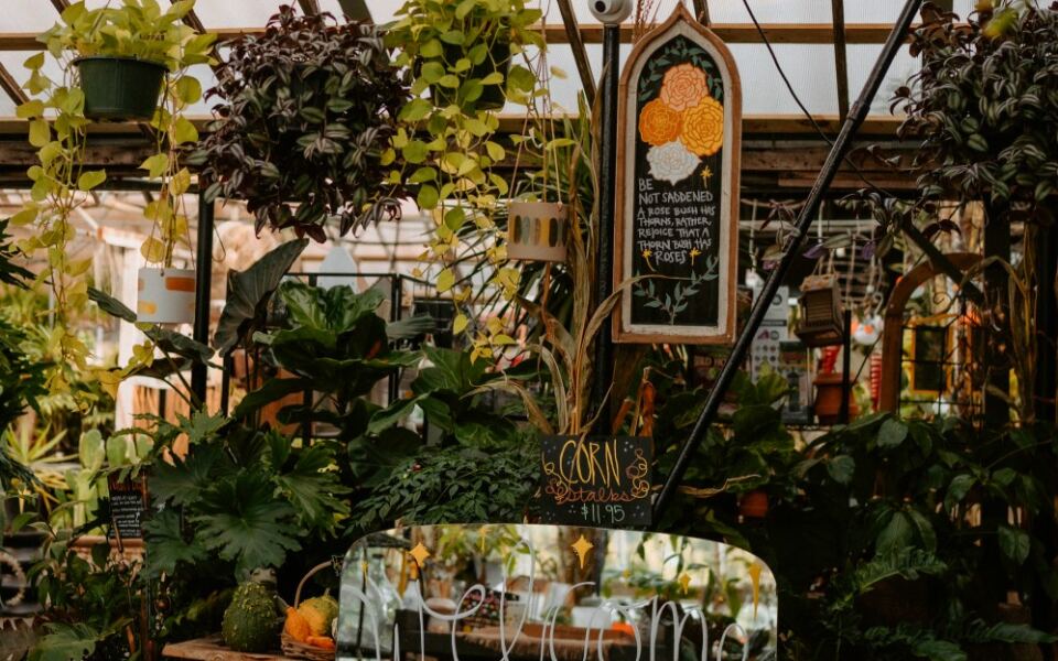 This Michigan Garden Center Feels More Like a Secret Botanical Escape