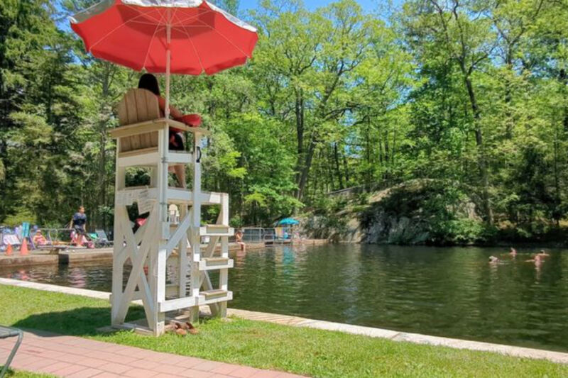 This New Jersey Forest Pool Skips Chlorine For A Cold Mountain-Stream Soak