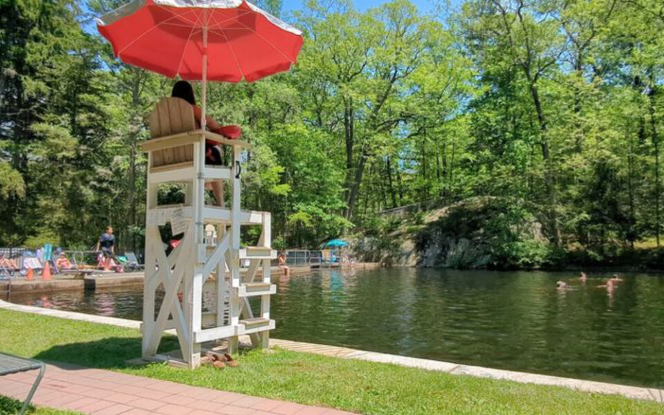 This New Jersey Forest Pool Skips Chlorine For A Cold Mountain-Stream Soak