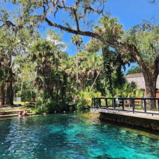 This Secret Florida Spring Near Ocala Lets You Swim All Day for Under $10