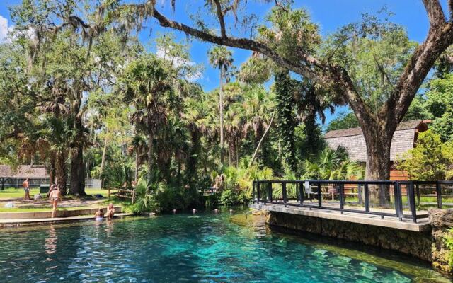 This Secret Florida Spring Near Ocala Lets You Swim All Day for Under $10