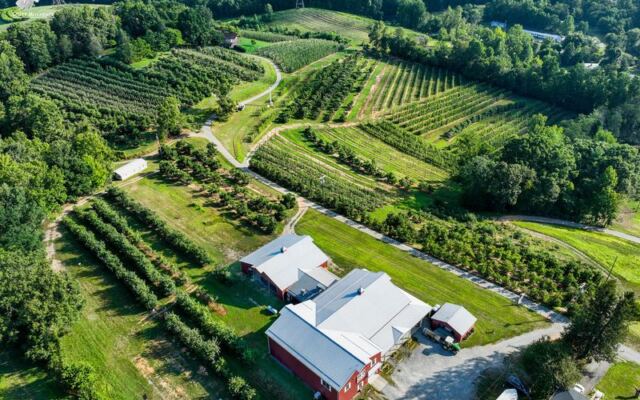 This North Carolina Orchard Fries Fresh Apple Donuts And Presses Its Own Cider While You Pick