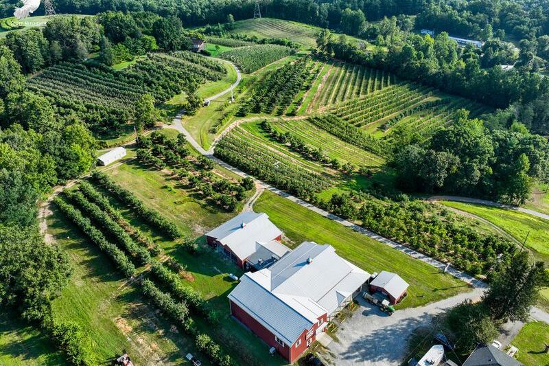 This North Carolina Orchard Fries Fresh Apple Donuts And Presses Its Own Cider While You Pick