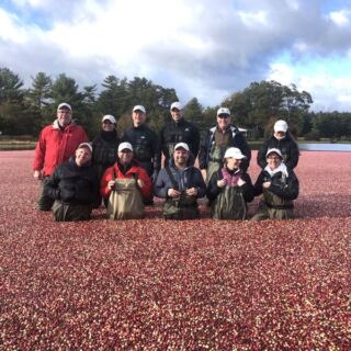 This Working Massachusetts Cranberry Bog Turns the Fall Scenery Bright Red for a Harvest You Rarely See