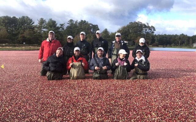 This Working Massachusetts Cranberry Bog Turns the Fall Scenery Bright Red for a Harvest You Rarely See