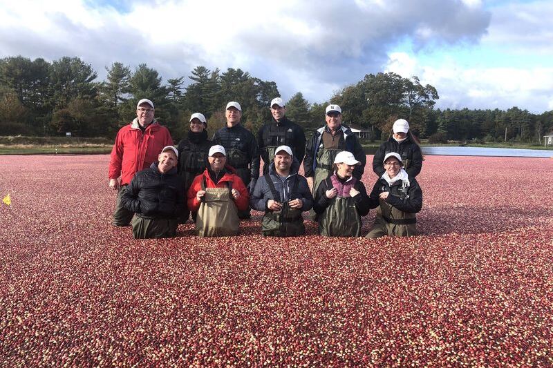 This Working Massachusetts Cranberry Bog Turns the Fall Scenery Bright Red for a Harvest You Rarely See
