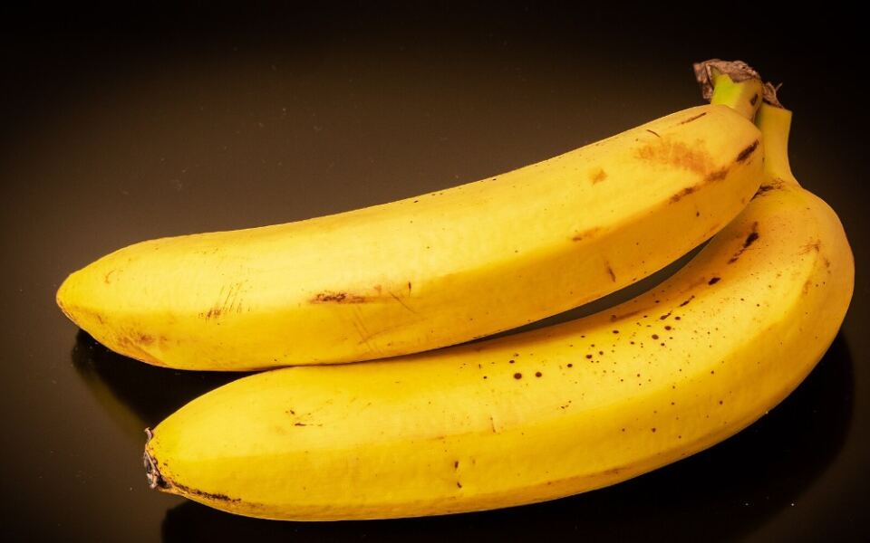15 Foods That Support a Healthy Gut Lining