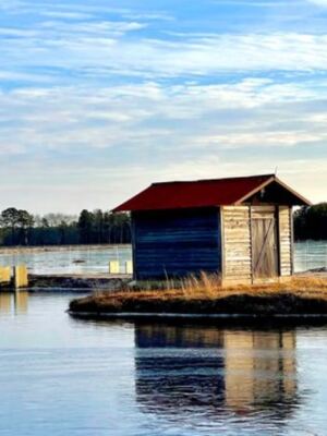 13 New Jersey Walks Where A Short Stroll Still Feels Like An Adventure