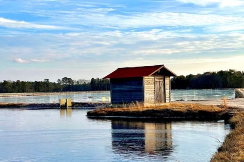13 New Jersey Walks Where A Short Stroll Still Feels Like An Adventure
