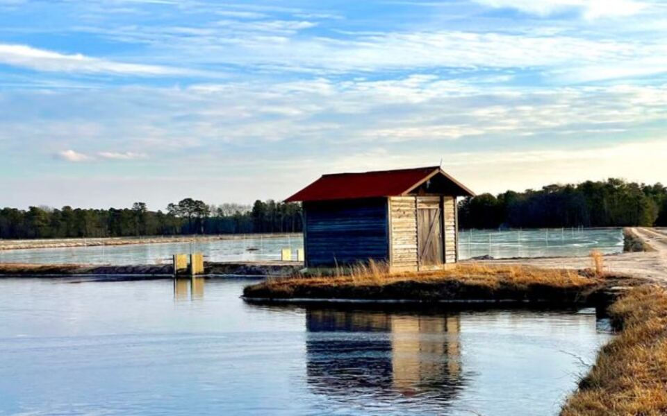 13 New Jersey Walks Where A Short Stroll Still Feels Like An Adventure