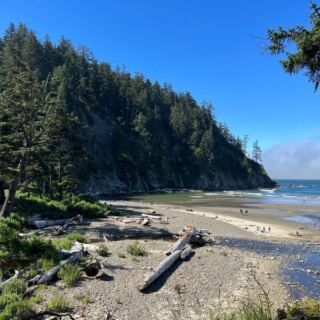 This Small But Gorgeous Oregon Beach Still Flies Under the Radar With Driftwood Castles and No Summer Crowds