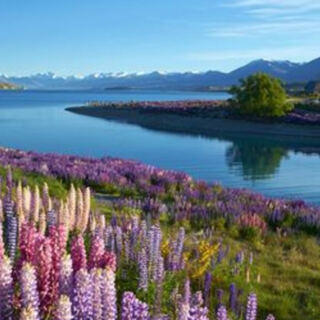 New Zealand’s South Island Has 15 Natural Attractions Worth Building A Trip Around