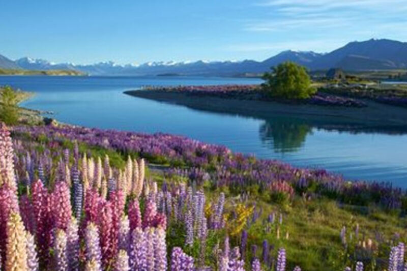 New Zealand’s South Island Has 15 Natural Attractions Worth Building A Trip Around