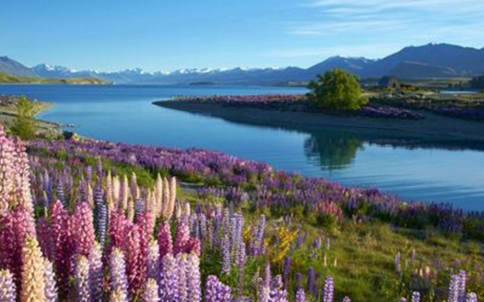 New Zealand’s South Island Has 15 Natural Attractions Worth Building A Trip Around