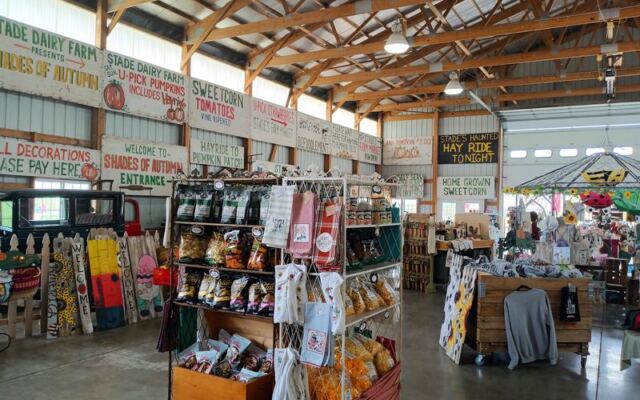 These 7 Illinois Farms Let You Fill A Basket With Sun-Warmed Strawberries Every Spring