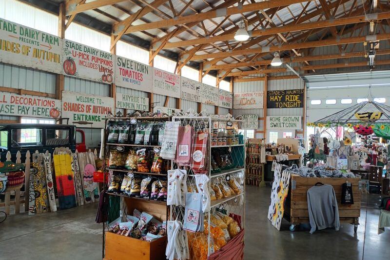 These 7 Illinois Farms Let You Fill A Basket With Sun-Warmed Strawberries Every Spring