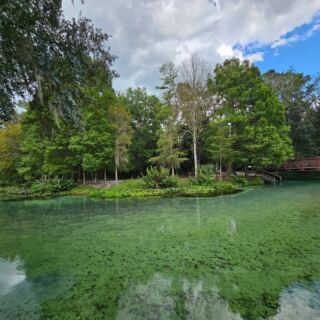 You Can Float a Lazy River Right Over 17-Million-Year-Old Fossils at This Free Apopka Park in Florida