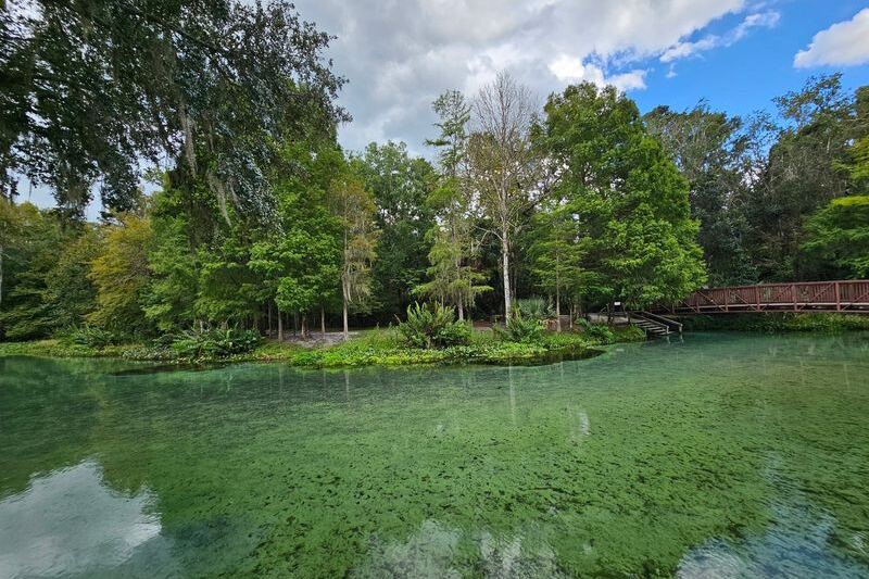 You Can Float a Lazy River Right Over 17-Million-Year-Old Fossils at This Free Apopka Park in Florida