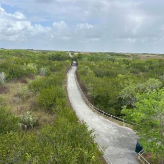 This Florida Bike Trail Rolls 15 Miles Through the Everglades With Alligators Right Beside You