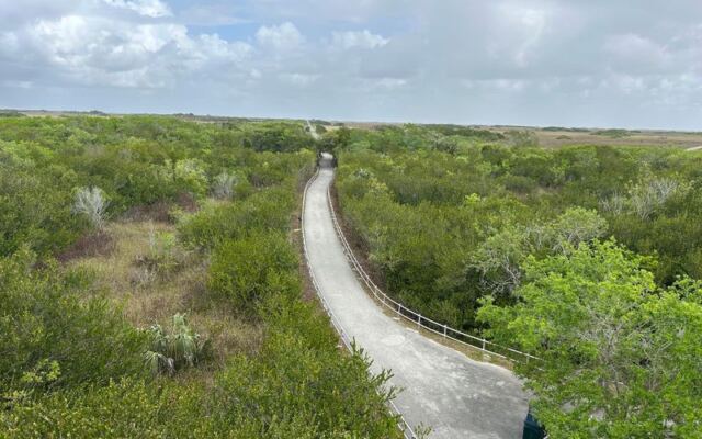 This Florida Bike Trail Rolls 15 Miles Through the Everglades With Alligators Right Beside You